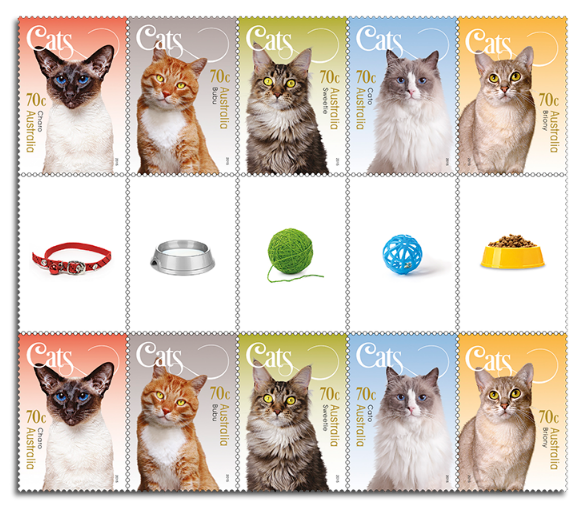 Australia 2015 Cats Gutter Strip