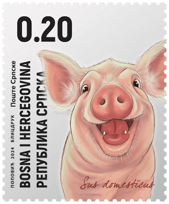 A stamp issued by Bosnia & Herzegovina Republika Srpska in 2024 depicting a goofy-looking pig