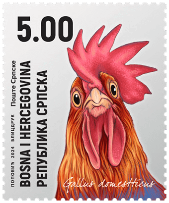 A stamp issued by Bosnia & Herzegovina Republika Srpska in 2024 depicting a confused-looking rooster