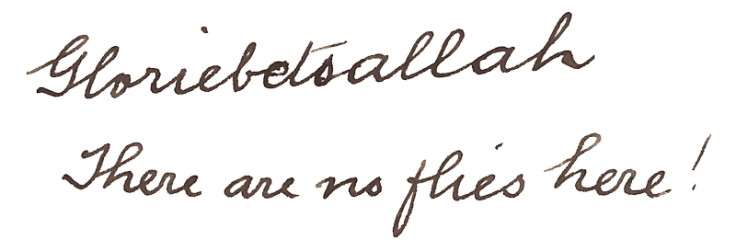 An excerpt of a postcard sent from Singapore in 1927 reads "Gloriebetoallah, there are no flies here!"